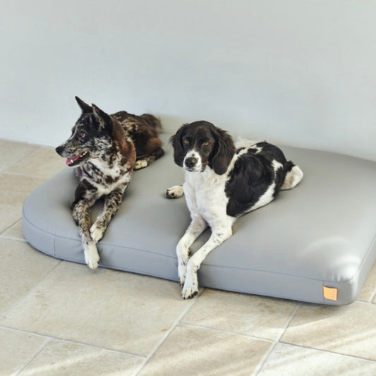 ※予約販売【munikund】Water-Block Silicon Bed（GRAY）