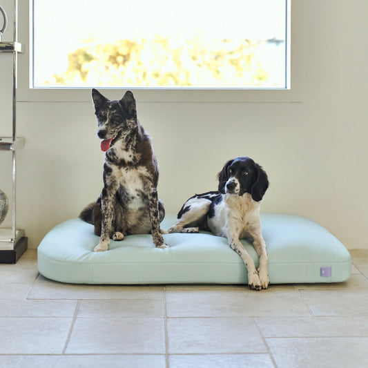 ※予約販売【munikund】Water-Block Silicon Bed（MINT）