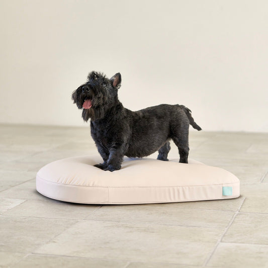 ※予約販売【munikund】Water-Block Silicon Bed（PINK）
