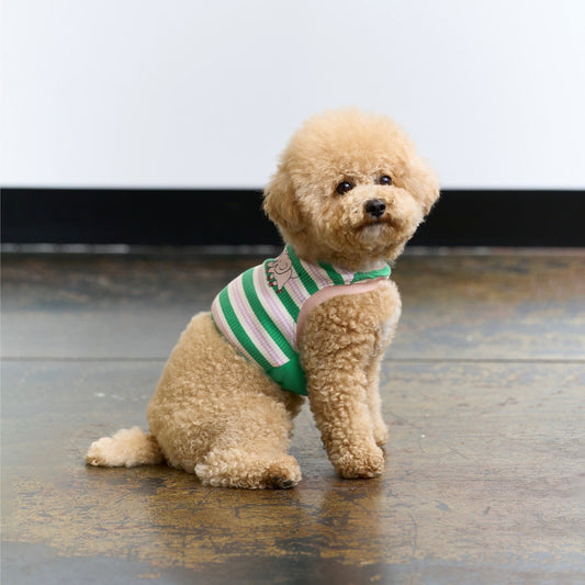 ※予約販売【munikund】Elee One Hole Crop（Green）