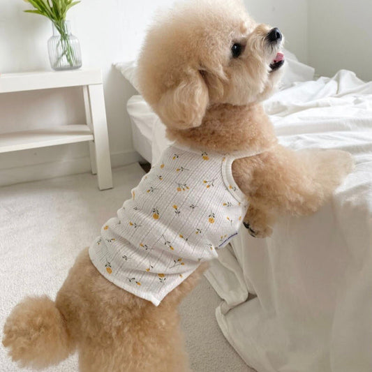 ※予約販売【Bonjour TOU-TOU】flower eyelet sleeveless（WHITE）