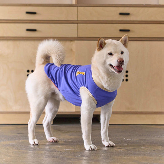 ※予約販売【munikund】ffeffe Cotton-T-shirt（Purple）