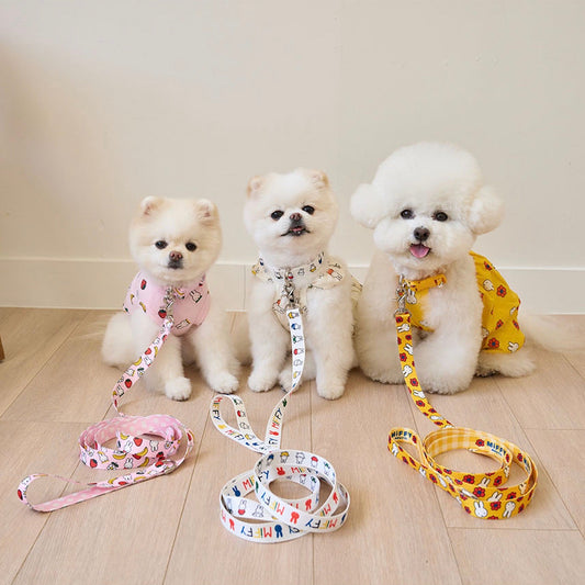 ※予約販売【noutti】flower miffy collar & lead