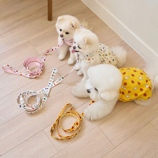 ※予約販売【noutti】crayon miffy collar & lead