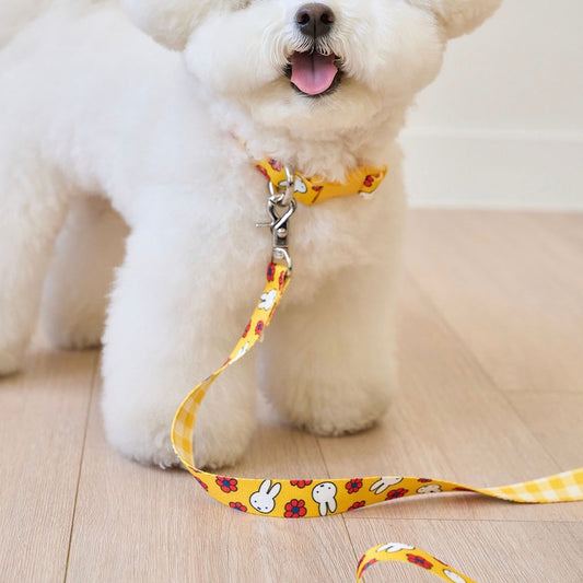 即納【noutti】flower miffy collar
