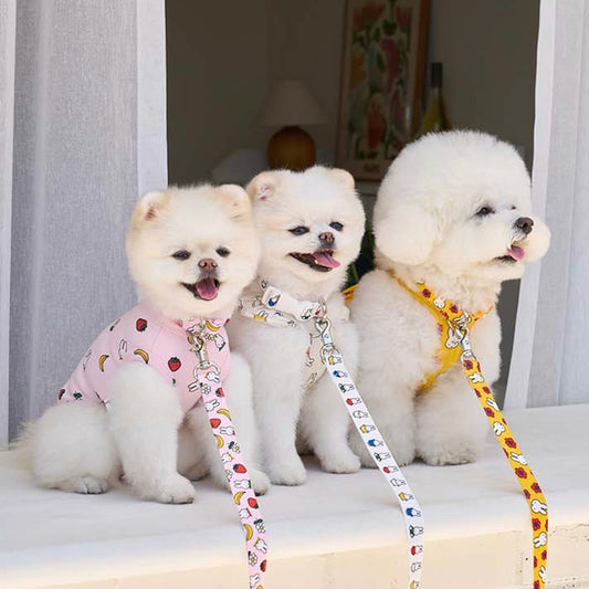 ※予約販売【noutti】picnic miffy collar & lead