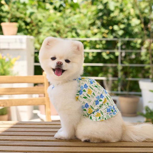※予約販売【noutti】FLOWER GARDEN CAMISOLE（Blue）