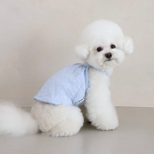 ※予約販売【Chiot】BABY DOT TOP（BLUE）