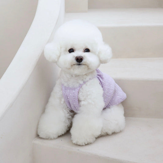 ※予約販売【Chiot】BABY DOT TOP（PURPLE）