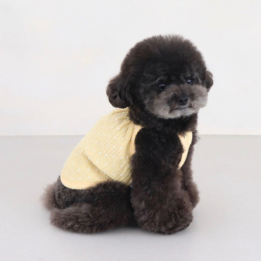 ※予約販売【Chiot】BABY DOT TOP（YELLOW）