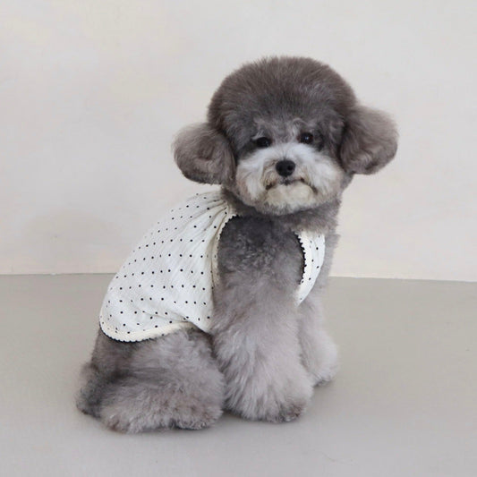 即納【Chiot】BABY DOT TOP（IVORY）