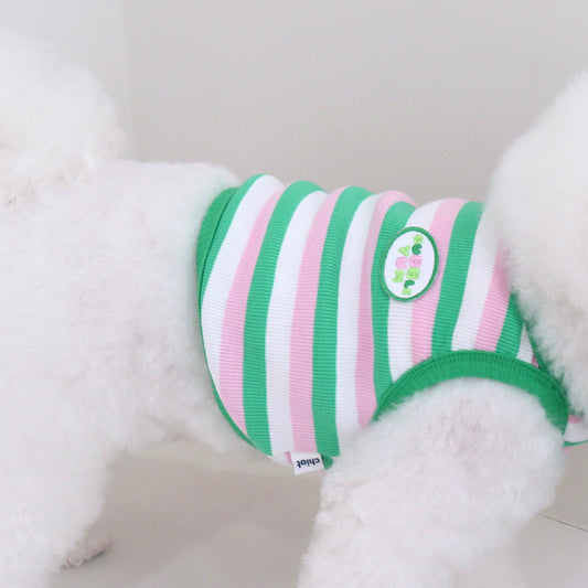 ※予約販売【Chiot】BUBBLE YUM TOPS（GREEN）