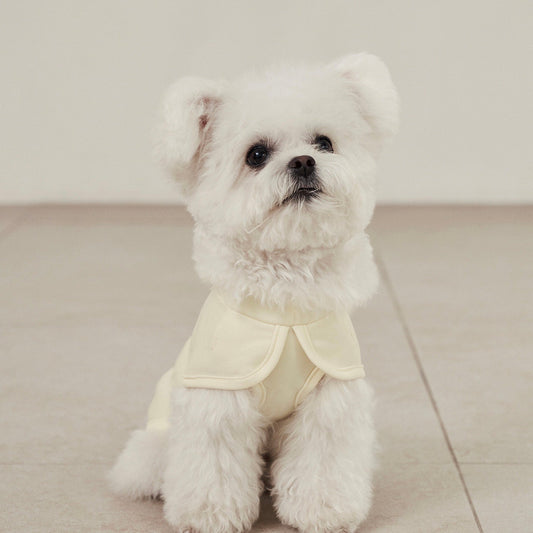 ※予約販売【small stuff】COOLEVER VEST（BUTTER）