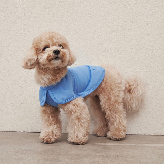 ※予約販売【small stuff】COOLEVER VEST（PALE BLUE）