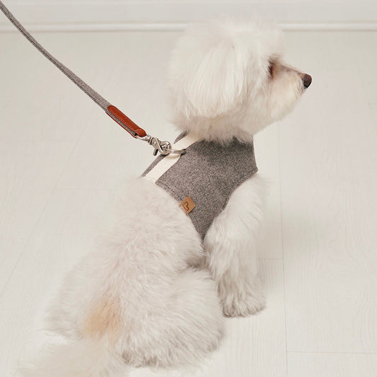 ※予約販売【small stuff】CLASSIC LEASH（GRAY）