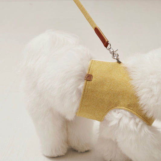 ※予約販売【small stuff】CLASSIC LEASH（MUSTARD）