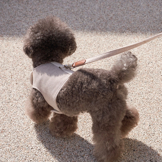 ※予約販売【small stuff】CLASSIC LEASH（OATMEAL）