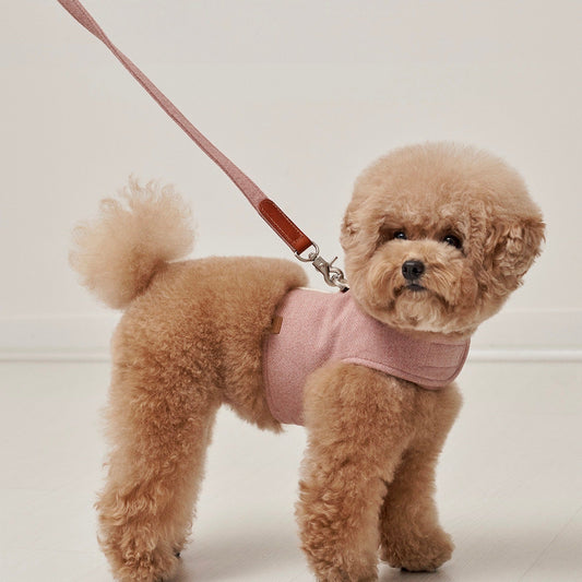※予約販売【small stuff】CLASSIC LEASH（PALE PINK）