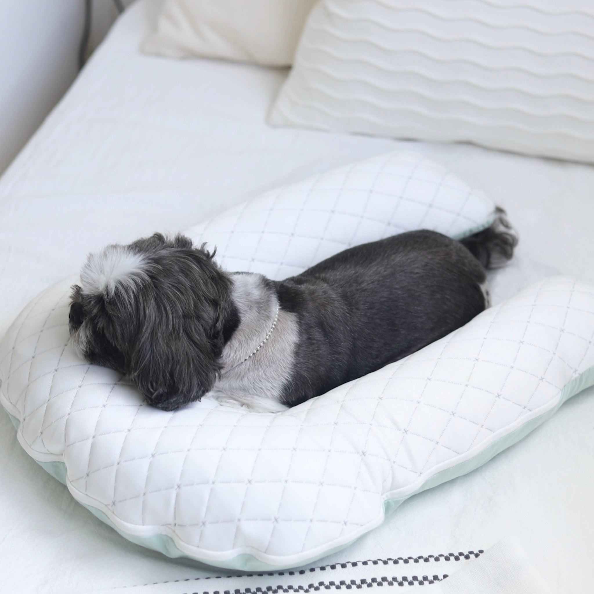 URBAN DOG TOKYO冷感ボディピロー クッション