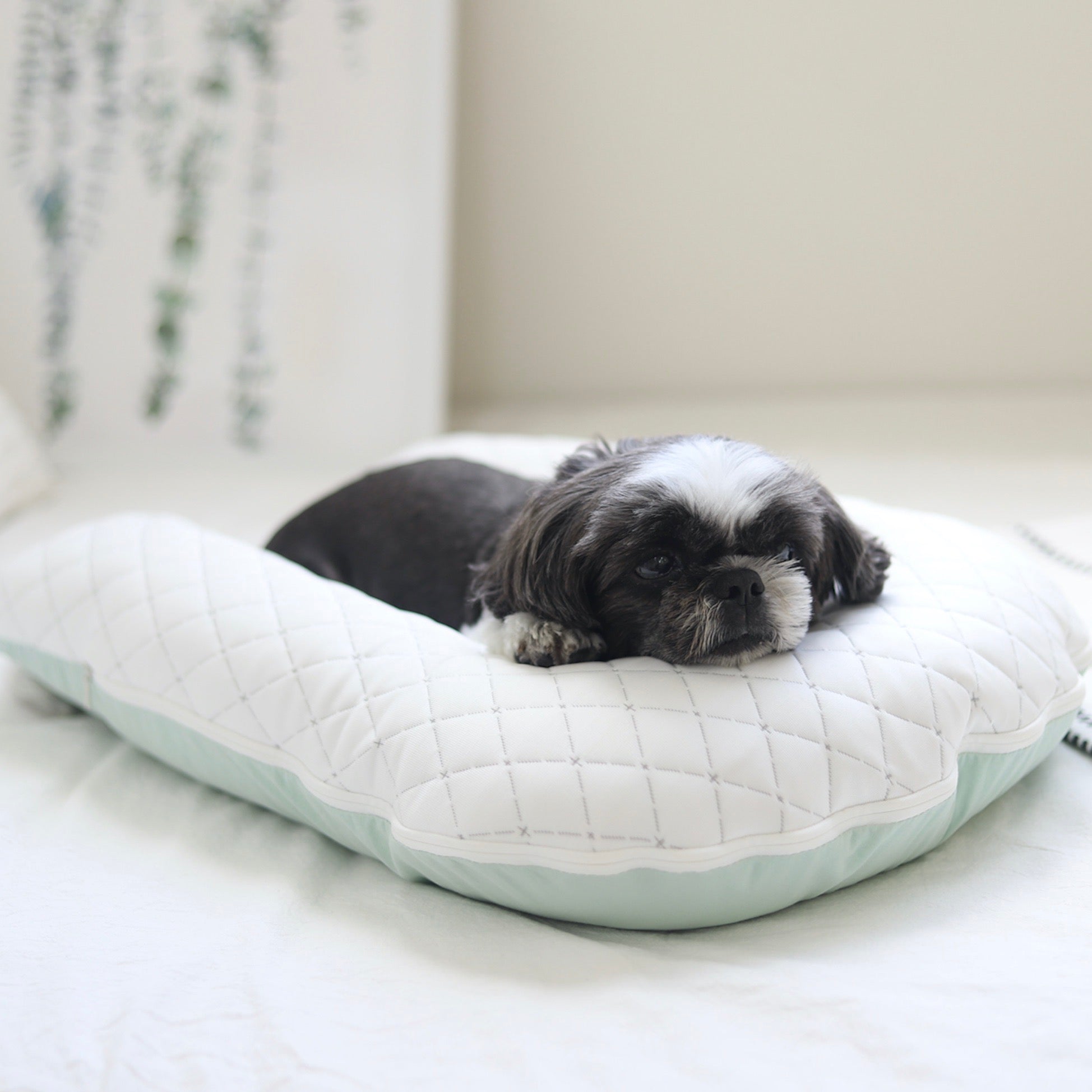 URBAN DOG TOKYO冷感ボディピロー クッション 海外犬服 高品質なインポートのドッグウェア通販 URBAN DOG