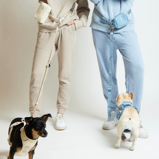 ※予約販売【max bone】Mini GO! With Ease Hands Free Leash