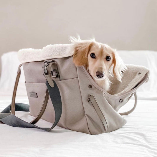 即納【max bone】City Carrier Bag（Gray）
