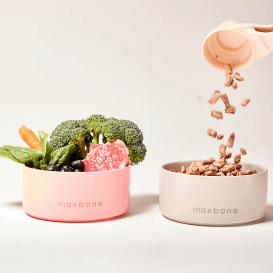 ※予約販売【max bone】Classic Ceramic Bowl