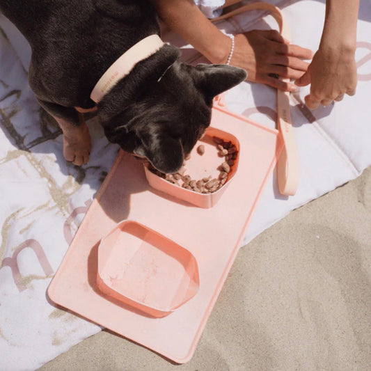 ※予約販売【max bone】GO! Portable Bowls（Peach）