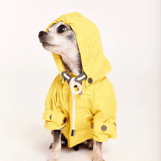 即納【max bone】Talon Raincoat（Yellow）