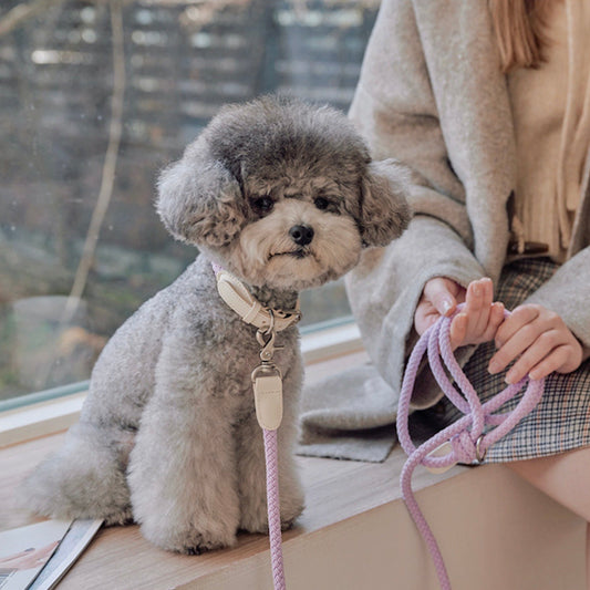※予約販売【STROLL】ROPE NECK COLLAR（LILAC）