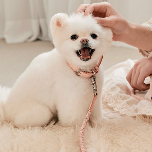 ※予約販売【STROLL】ROPE NECK COLLAR（PINK）