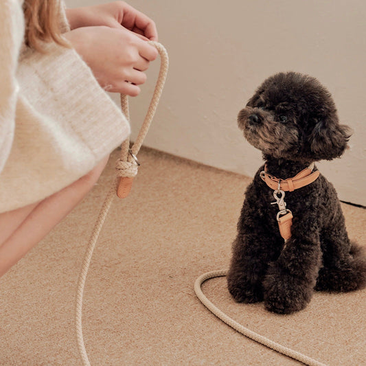 ※予約販売【STROLL】ROPE NECK COLLAR（BEIGE）
