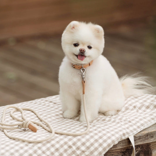 ※予約販売【STROLL】PORTABLE CUSHION（BEIGE）