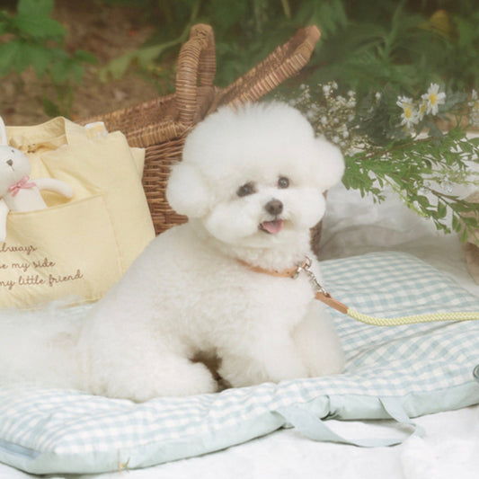 ※予約販売【STROLL】PORTABLE CUSHION（MINT）