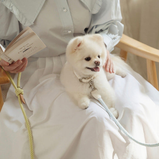 ※予約販売【STROLL】ROPE LEASH CLASSIC（SODA）
