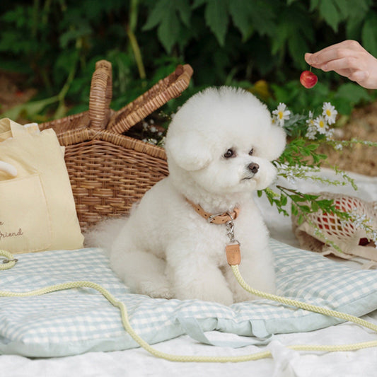 ※予約販売【STROLL】ROPE LEASH CLASSIC（LEMON LIME）