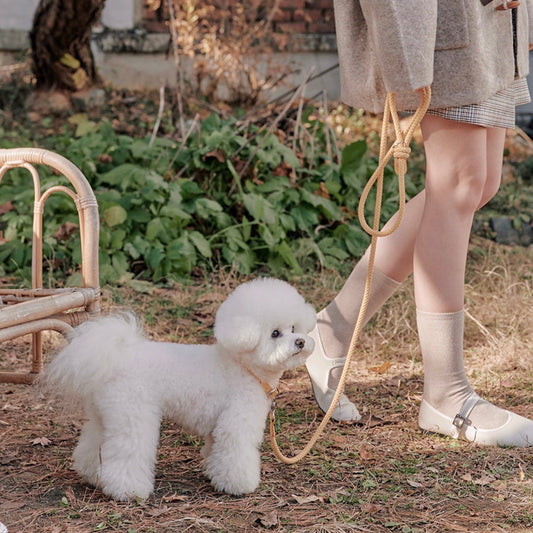 ※予約販売【STROLL】ROPE LEASH CLASSIC（BANANA）