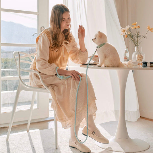 ※予約販売【STROLL】ROPE LEASH CLASSIC（MINT）