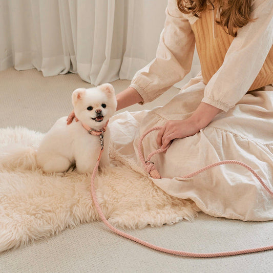 ※予約販売【STROLL】ROPE LEASH CLASSIC（PINK）