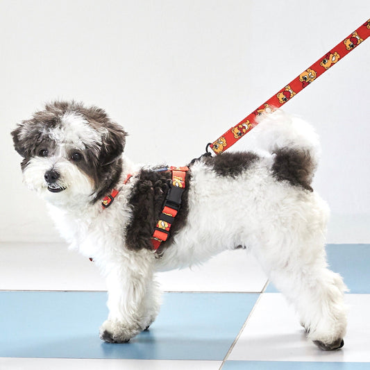 ※予約販売【andblank】Joy Bear lead（orange）