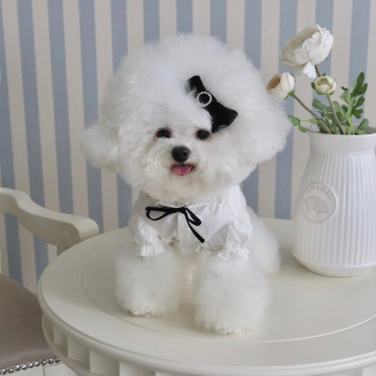 ※予約販売【Hi Yeboo】Classic Blouse