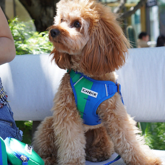※予約販売【iCANDOR】Snuggle Harness（FOREST）