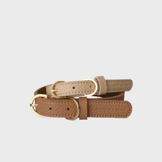 ※予約販売【OOPS! MY DOG】Woof Collar