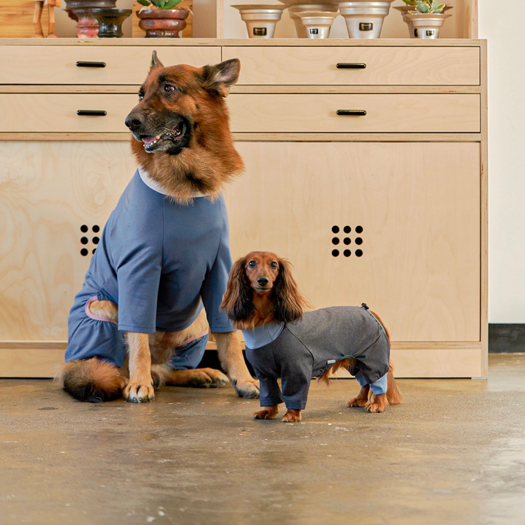 海外犬服 高品質なインポートのドッグウェア通販 URBAN DOG