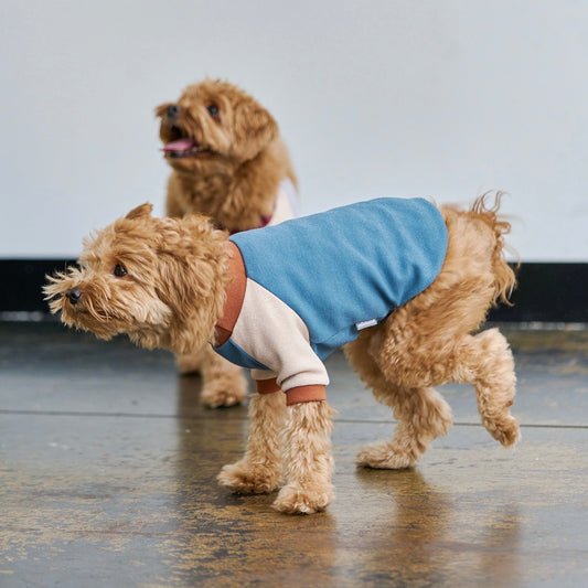 ※予約販売【munikund】Ari Pullover（Blue）
