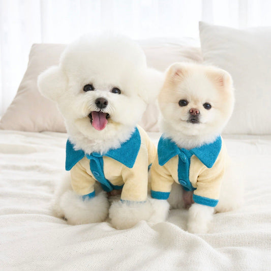 ※予約販売【noutti】Happiness terry cardigan（yellow&blue）
