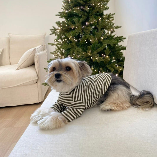 ※予約販売【Bonjour TOU-TOU×The bambi】Merry turtle neck knit（Khaki）