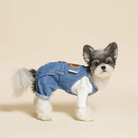 ※予約販売【meaningless】SCHOOL LOOK GOSOMI OVERALLS（Denim）