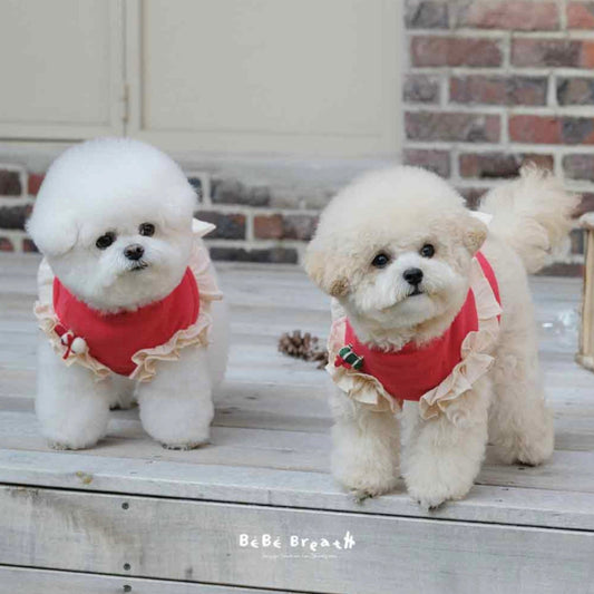 ※予約販売【BeBe Breath】bis st T-shirt（Red）