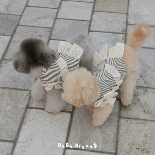 ※予約販売【BeBe Breath】bis st T-shirt（Ivory）